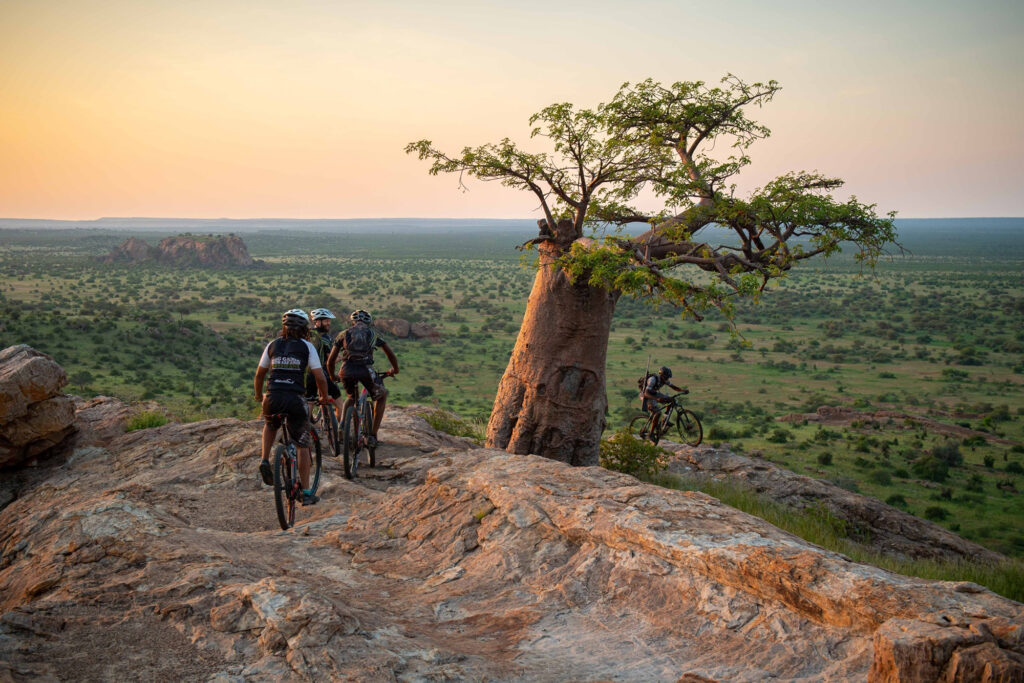 Mountain bikers looking out over the plains of Botswana