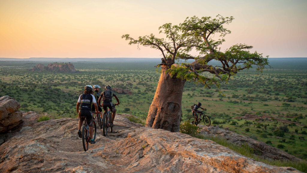 A group of mountain bikers in Botswana