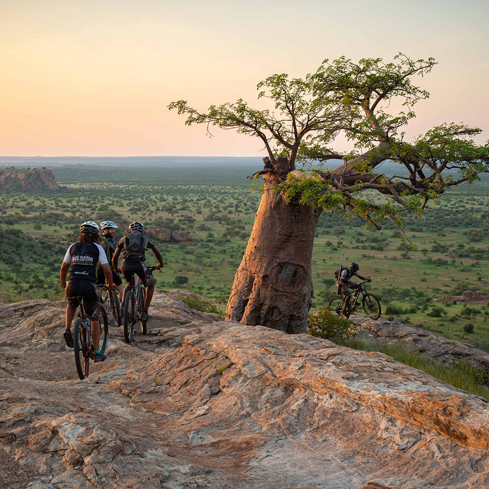 Mountain bikers looking out over the plains of Botswana